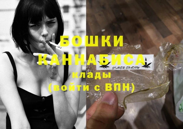 твердый Богородск