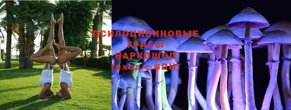 твердый Богородск